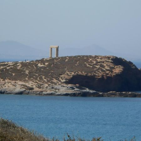 Vasiliki'S House Apartment Naxos City Ngoại thất bức ảnh